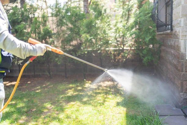 Outdoor Pest Control in Baileyton, AL